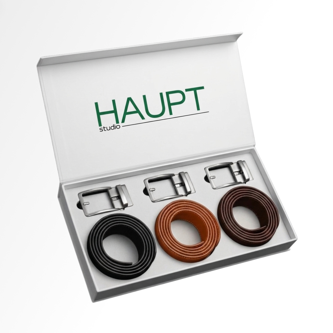 Bundle Classic Haupt Studio