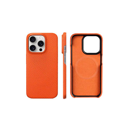 Haupt Studio Case
