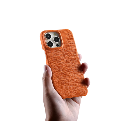 Haupt Studio Case